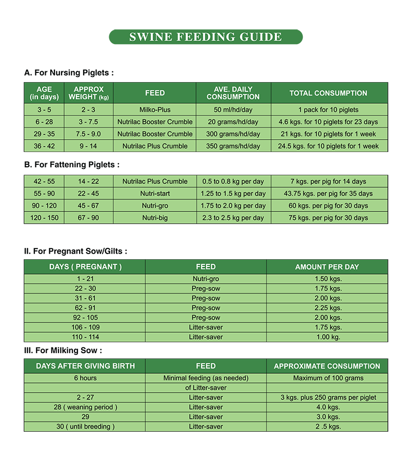 Pig Feeding Chart